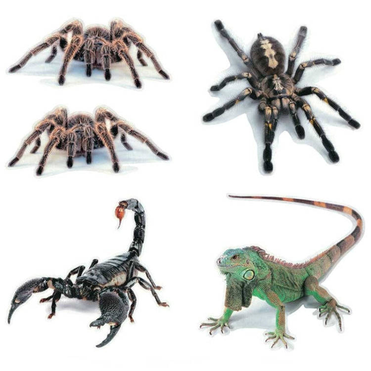 Creative Personality Scratch Cover  Car Body Sticker(Scorpion)