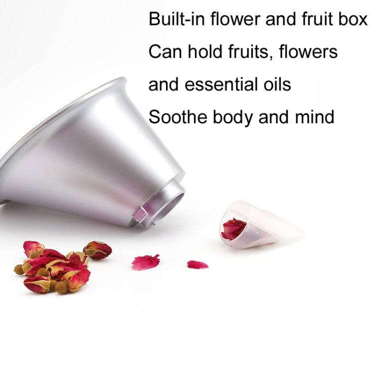 Hot And Cold Face Steamer Facial Moisturizing Spray Beauty Instrument CN Plug(Anther)