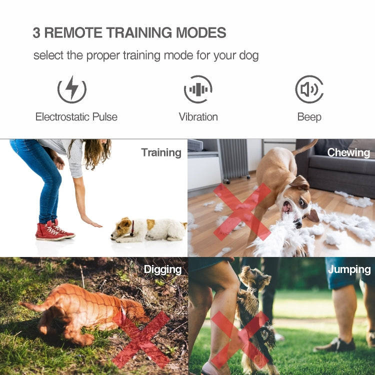 Intelligent Remote Control Dog Trainer Automatic Barking Stop Collar(White)