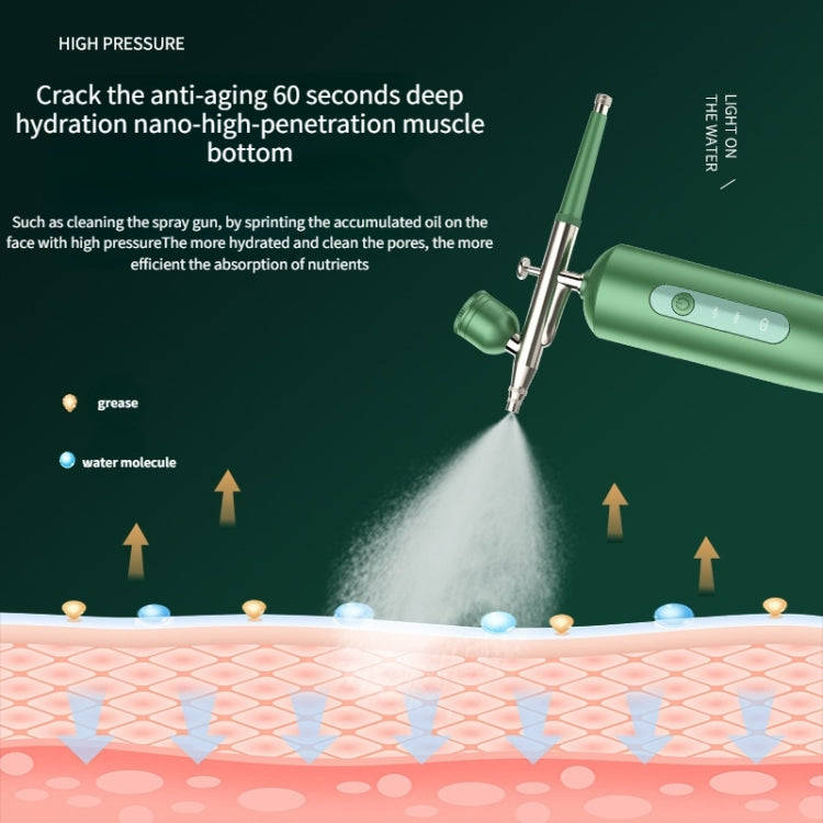 Handheld Home Sprayer Face High Pressure Oxygen Hydration Beauty Instrument(2133 Green)