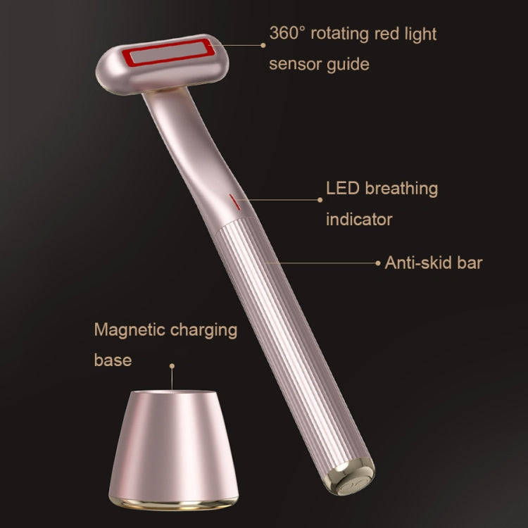 1605 Multifunctional Rotating EMS Micro-Current Radio Frequency Beauty Instrument(Pink)