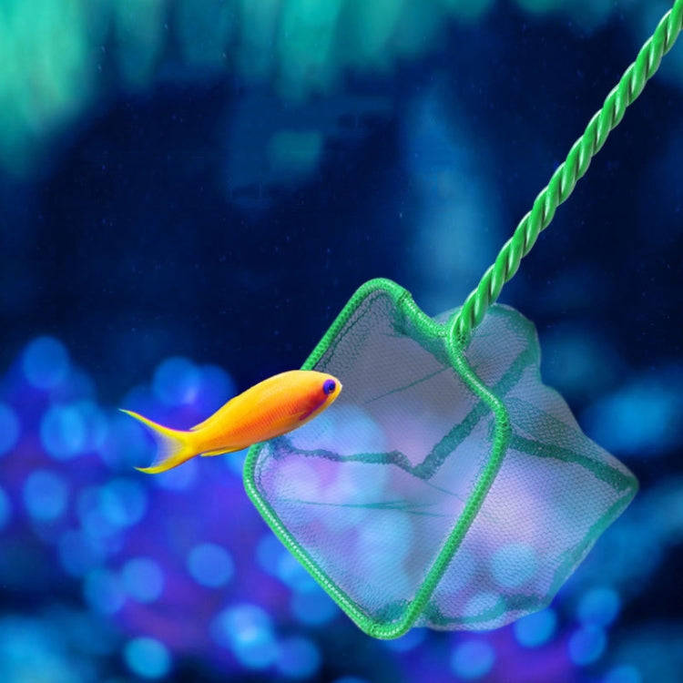 5 inch Fish Tank Fish Net Square Aquarium Squid Net