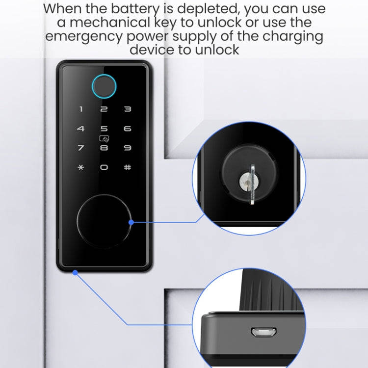 C87 Automatic Fingerprint Lock Entry Door Password Smart Lock(Black)