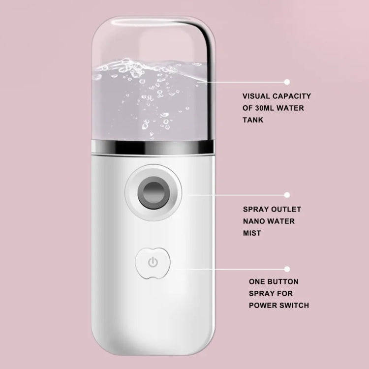 30ml Handheld Alcohol Disinfectant Instrument USB Interface Hydration Meter Humidifier, Color: Green