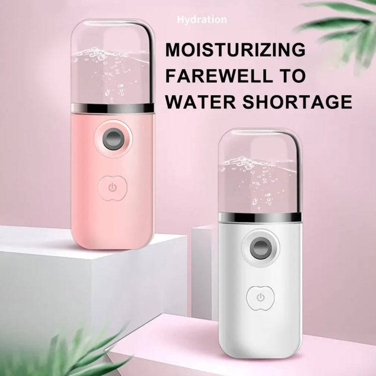 30ml Handheld Alcohol Disinfectant Instrument USB Interface Hydration Meter Humidifier, Color: Blue