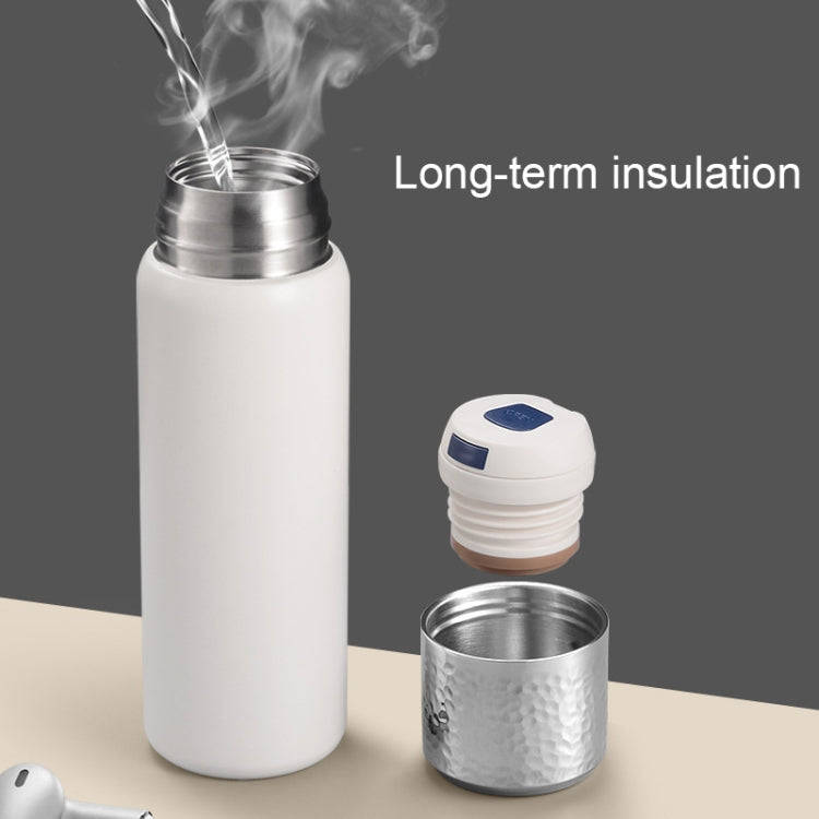 316 Stainless Steel Hammered Lid Thermos Coffee Cup with Tea Filter, Size: 300ml(Black)