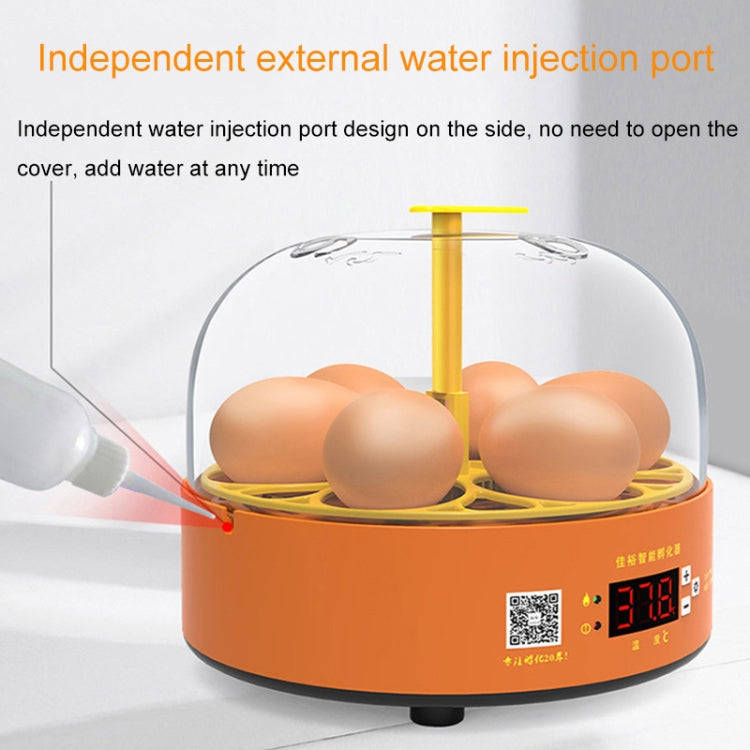 6-Eggs Small Household Experimental Children Smart Chicken Incubators, Spec: Automatic US Plug