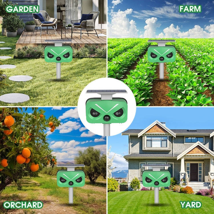 Outdoor Solar Animal Repeller Multi-functional Bird/Cat/Rat Repeller(SJZ028-2)