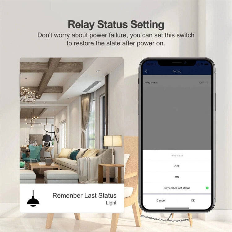 2CH Zigbee Smart Switch Module For Alexa / Google Home / Tuya Smart Life APP