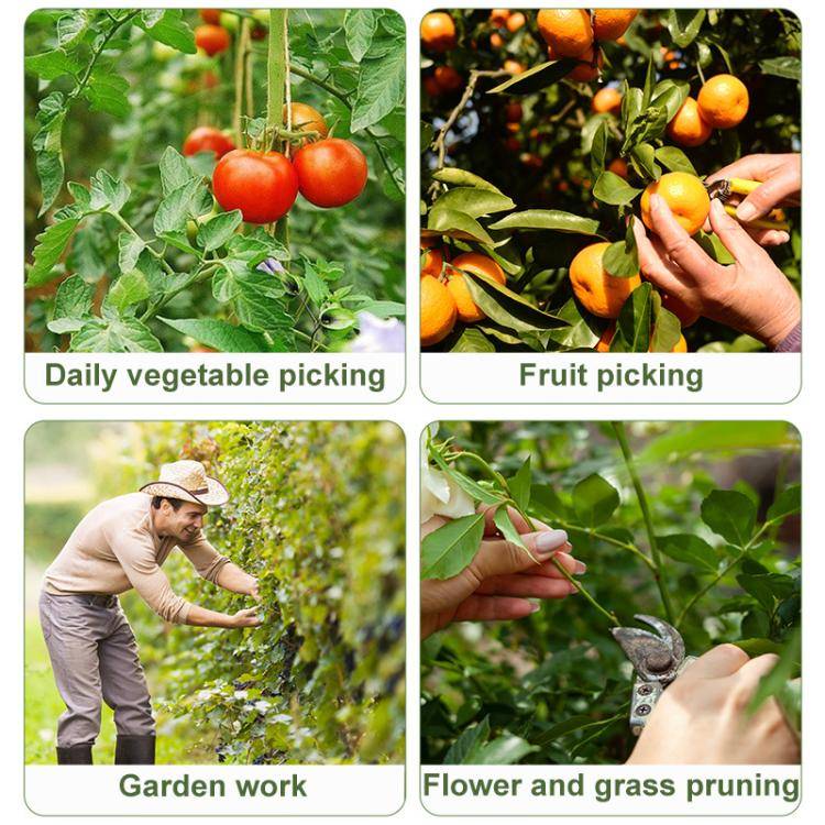 4pcs /Pack Melon and Fruit Picking Small Guillotine Grape Pinching Thumb Knife Vegetable Picker(Red)