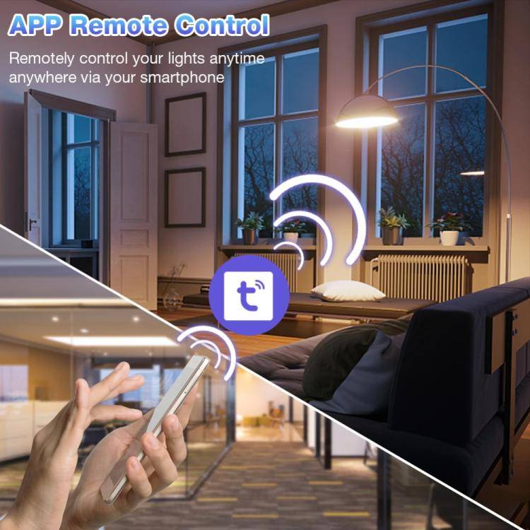 10A  Tuya WiFi Smart Switch Supports Amazon ALEXA/Google HOME Voice Control