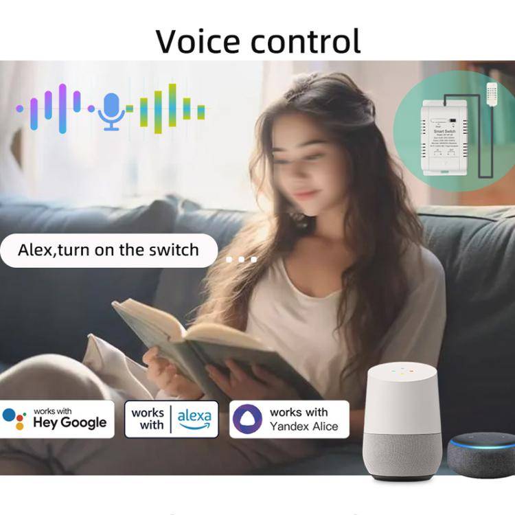 DIY-WT-09 20A Temperature Switch Smart Thermostat, Compatible With Google / Alexa / Yandex Alice ...