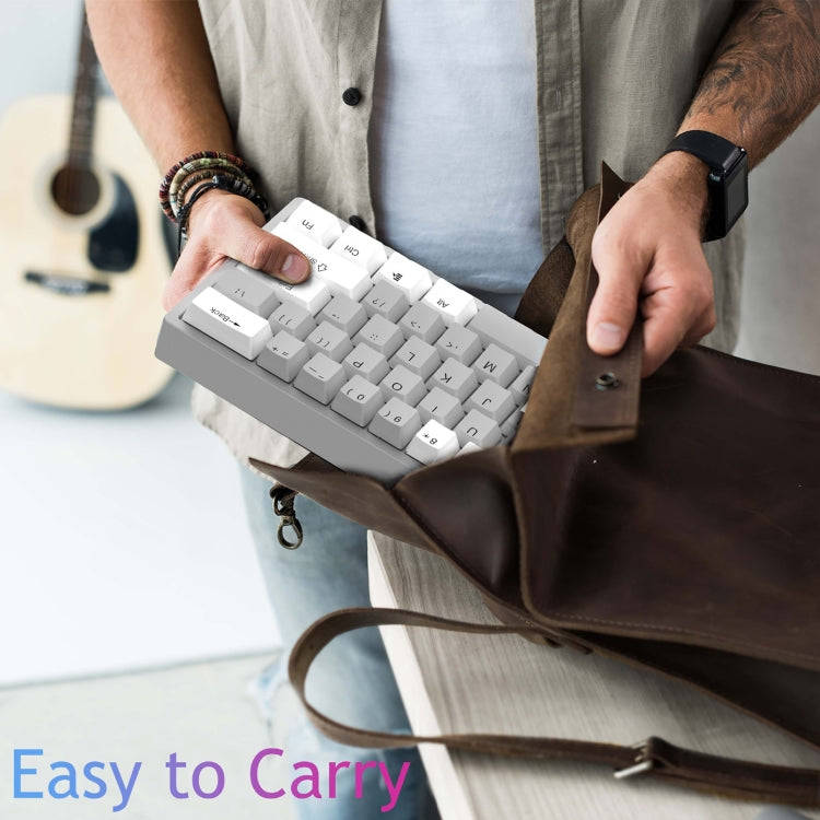 AULA F3261 Type-C Wired Hot Swappable 61 Keys RGB Mechanical Keyboard(White Grey Green Shaft)