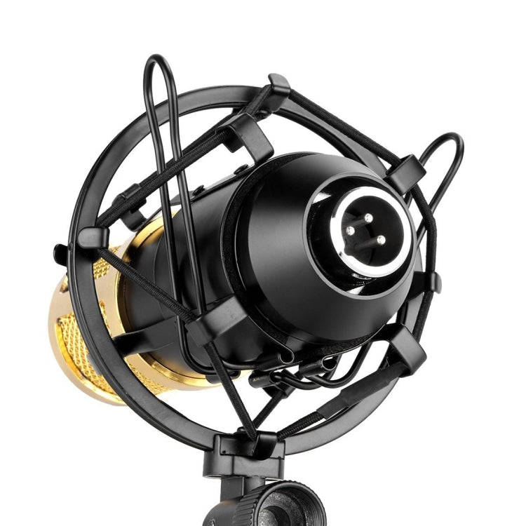 FIFINE F-700 Professional Condenser Sound Recording Microphone with Shock Mount for Studio Radio ...