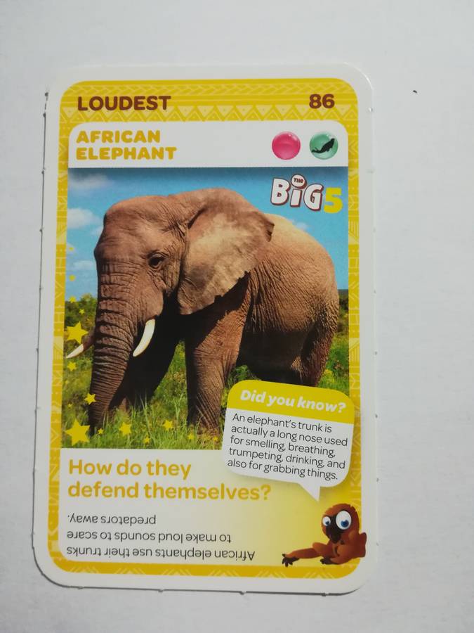 Pick n Pay South African Super Animals (Blue) - Card 86 - African Elehphant