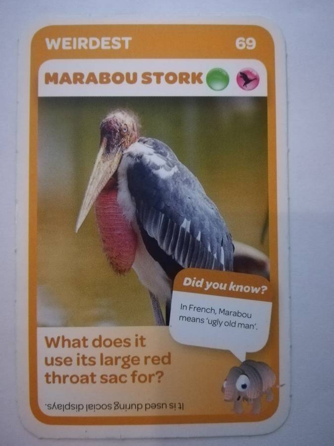 Pick n Pay South African Super Animals (Blue) - Card 69 - Marabou Stork