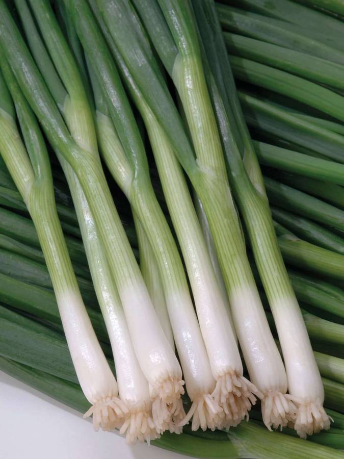 Onion Spring White Lisbon Seeds