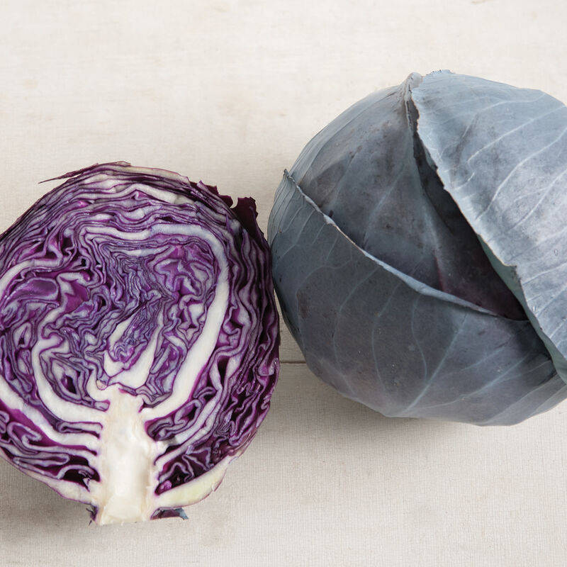 Cabbage Baby Red Omero Seeds