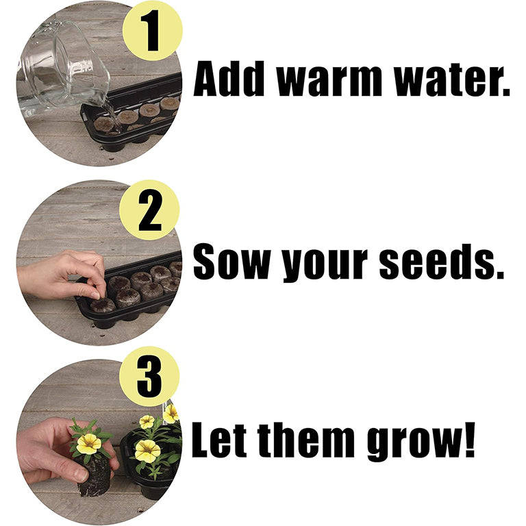 Jiffy 12 Cell Mini Green House / Terrarium