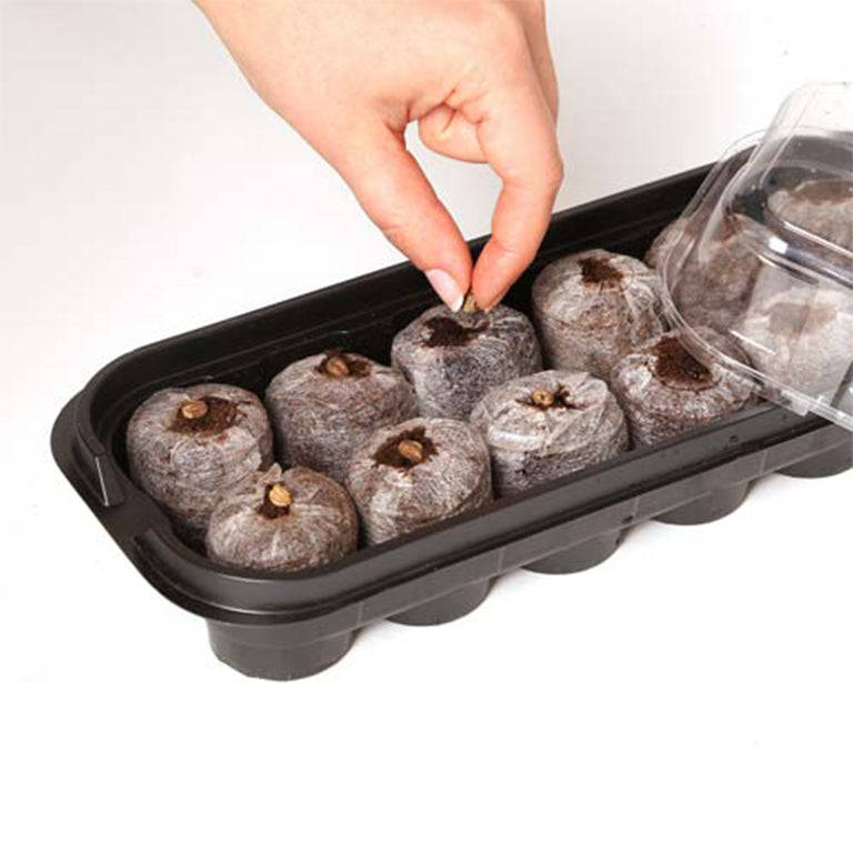 Jiffy 12 Cell Mini Green House / Terrarium