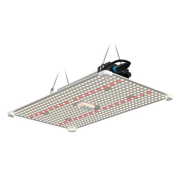 Lumii Blade Quantum Board 200W LED Grow Light