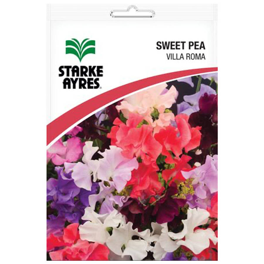 Sweetpea Villa Roma Flower Seeds