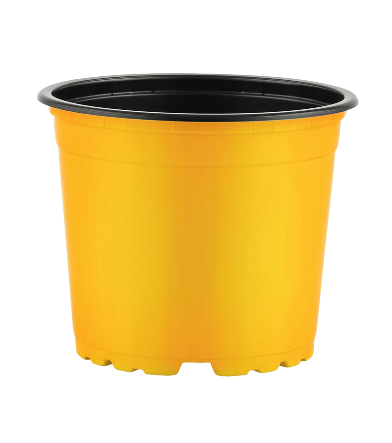 Thermoform Pots 17cm
