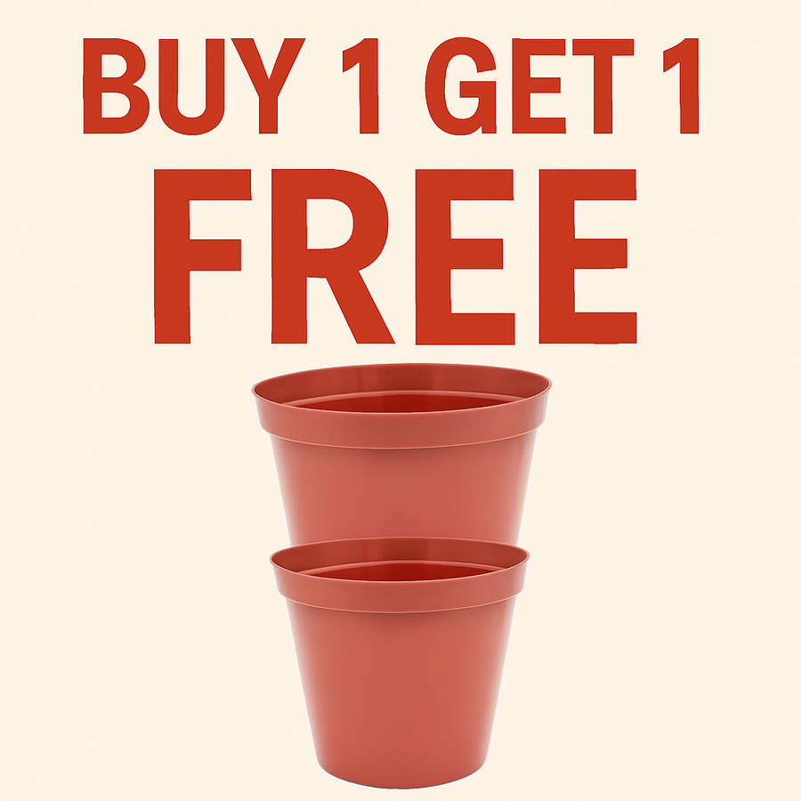 12cm Plastic Pot - Terracotta (Buy 1 Get 1 FREE)