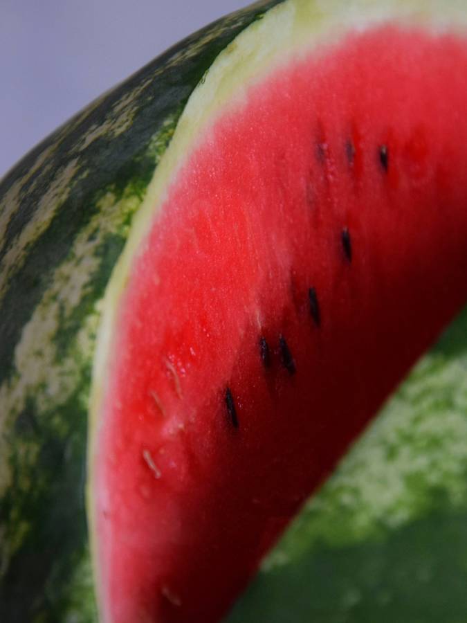 Watermelon Congo Seeds