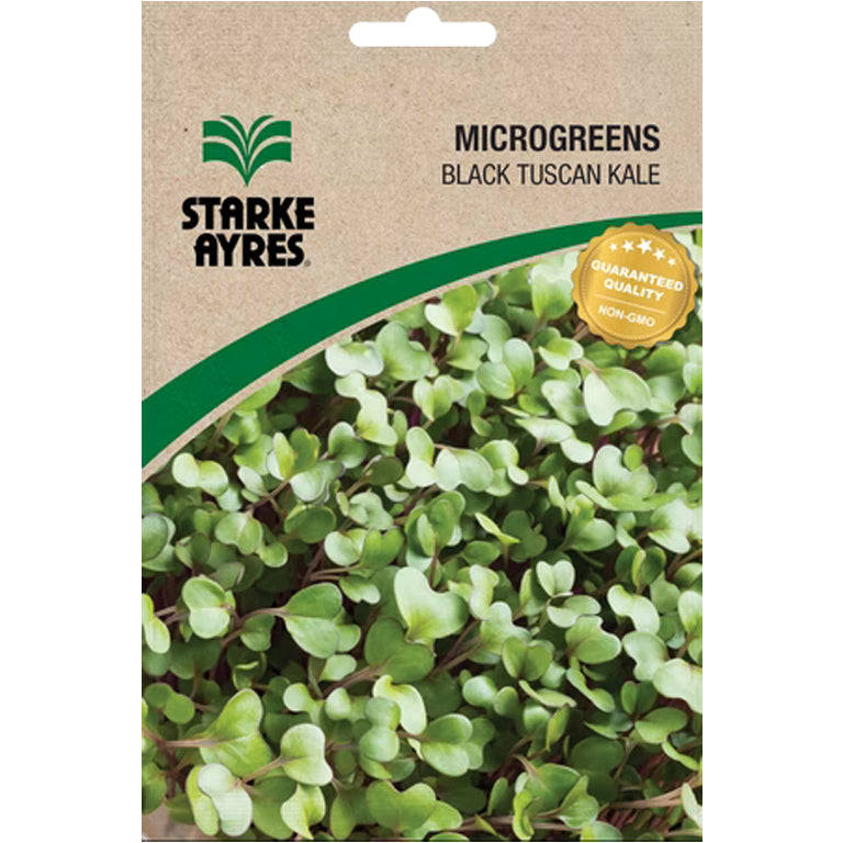 Black Tuscan Kale Microgreens Seeds