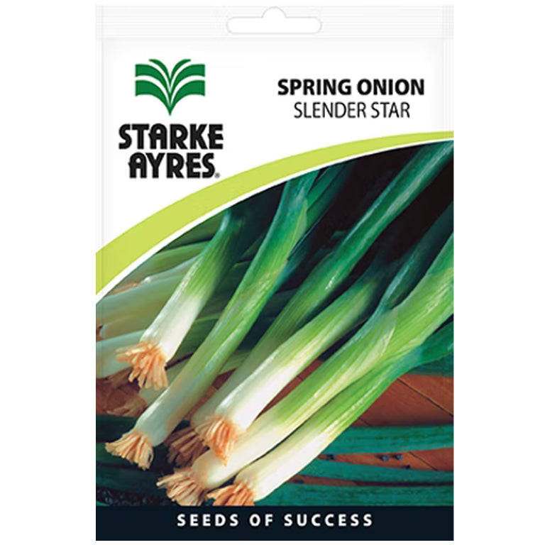 Spring Onion Slender Star Seeds