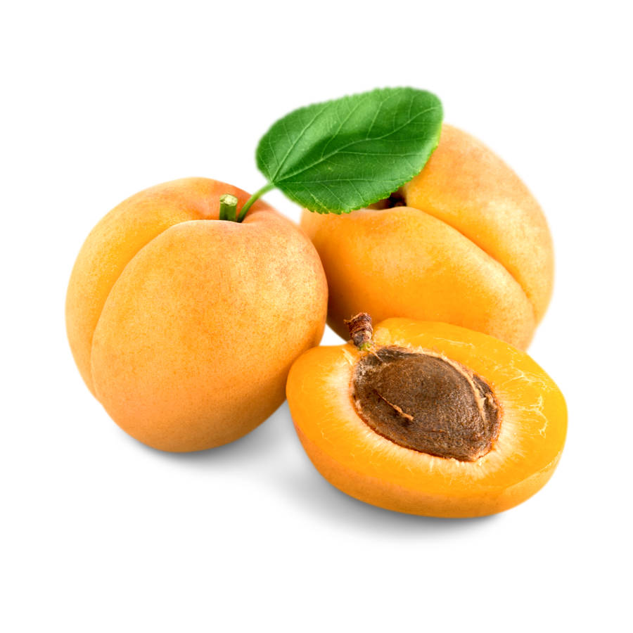 Apricot Concentrate (SSA/SUPA)
