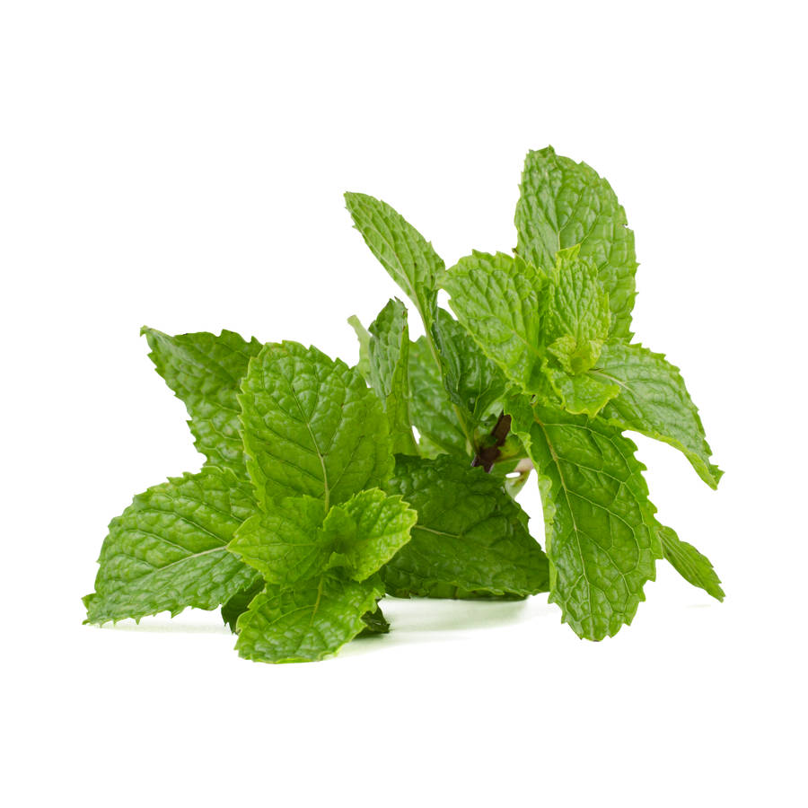 Spearmint Concentrate (CAP)