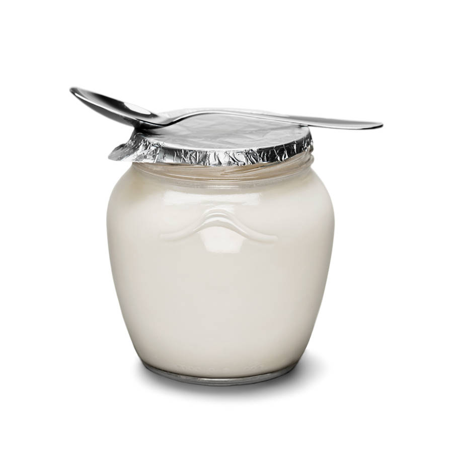 Yogurt Concentrate (YY)