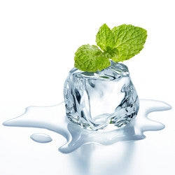 Wintergreen Concentrate (TFA) - 50ml