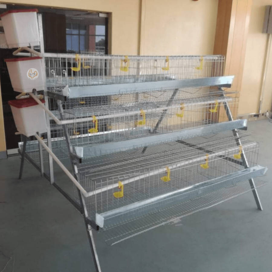 Elite 96 Bird Econo Egg Laying Cage