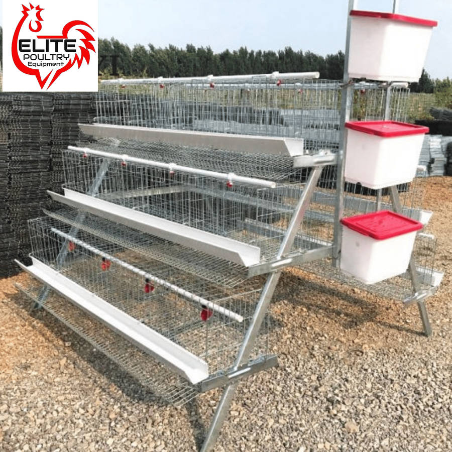 Elite 96 Bird Econo Egg Laying Cage