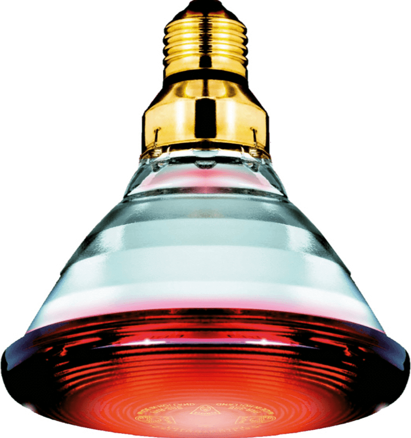 Infrared Heat Lamp