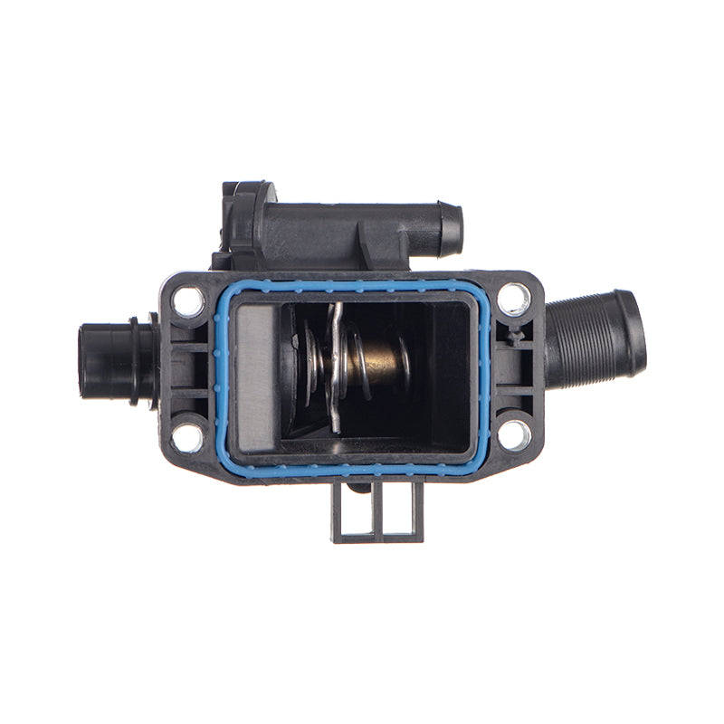 Thermostat - Aa286 (Beta)