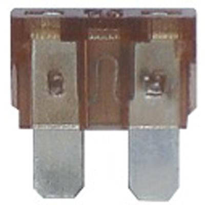 Plug-In Fuses - P10 (Beta)