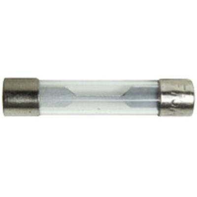 5 Amp Glass Fuse - G5 (Beta)