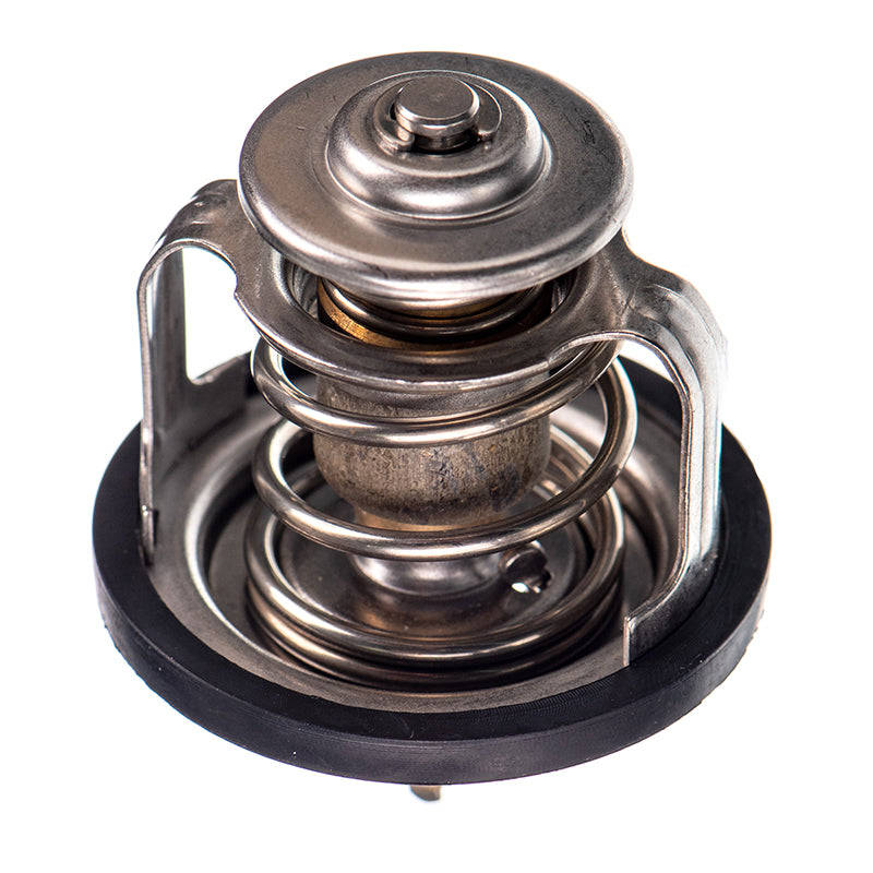 Thermostat - Tb4880 (Doe)