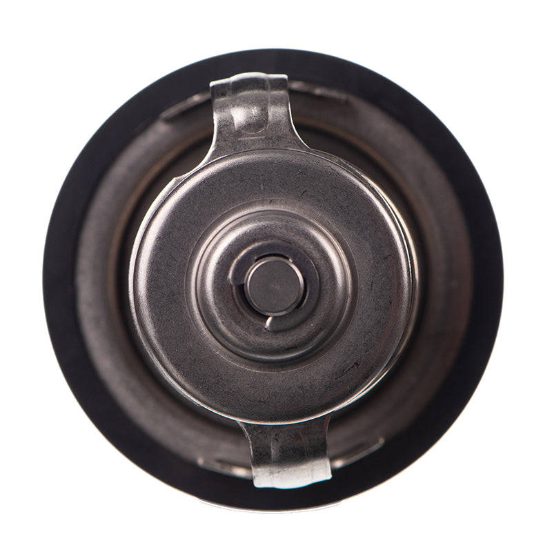 Thermostat - Tb4880 (Doe)