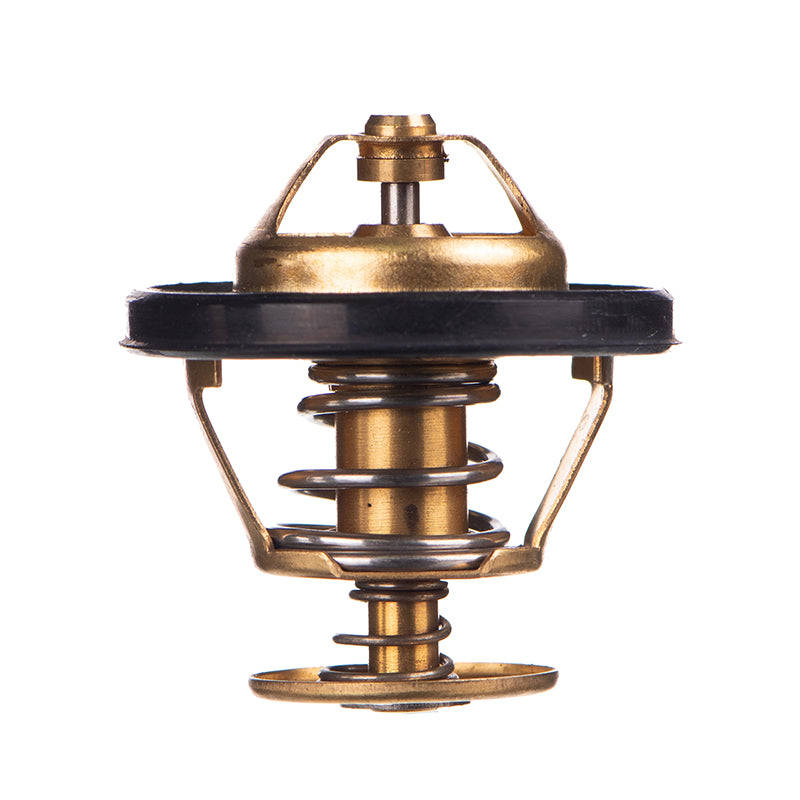 Thermostat - Tb4882 (Doe)