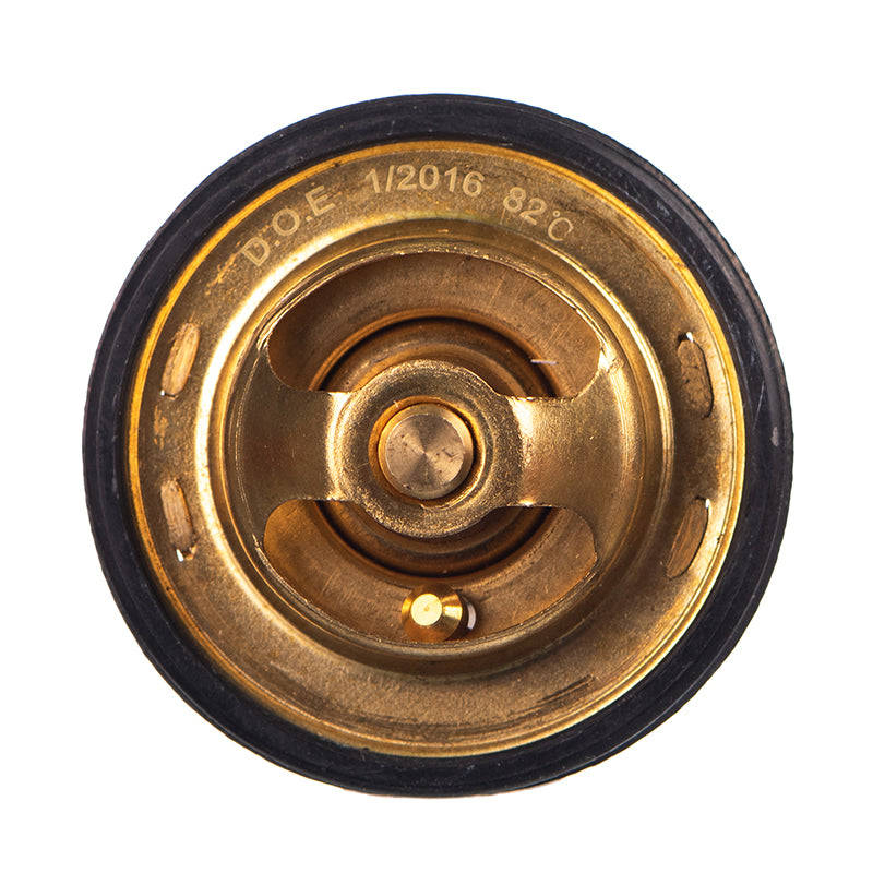 Thermostat - Tb4882 (Doe)