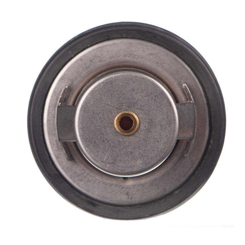 Thermostat - Tb5388 (Doe)