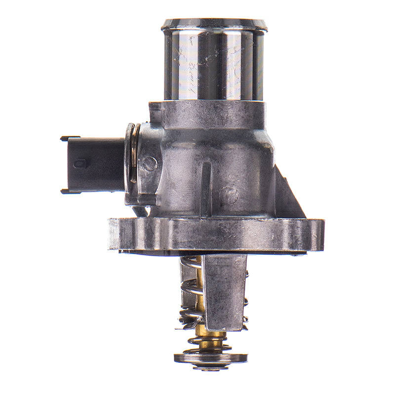 Thermostat - Th099 (Doe)