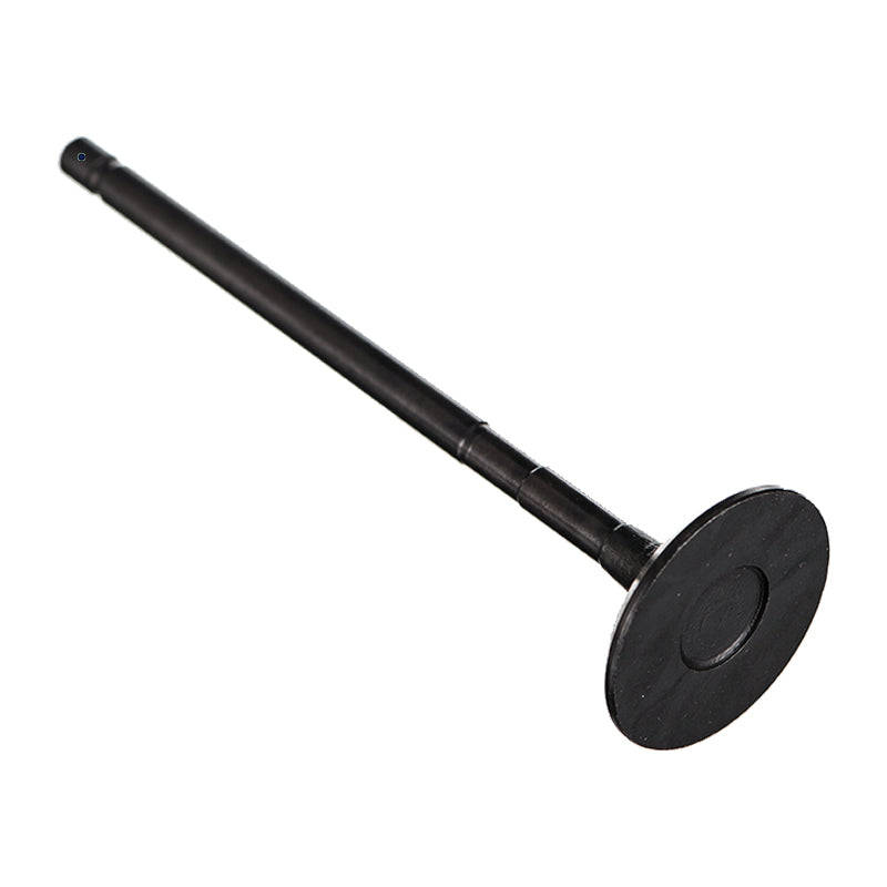 Exhaust Valve - Tq302 (Beta)
