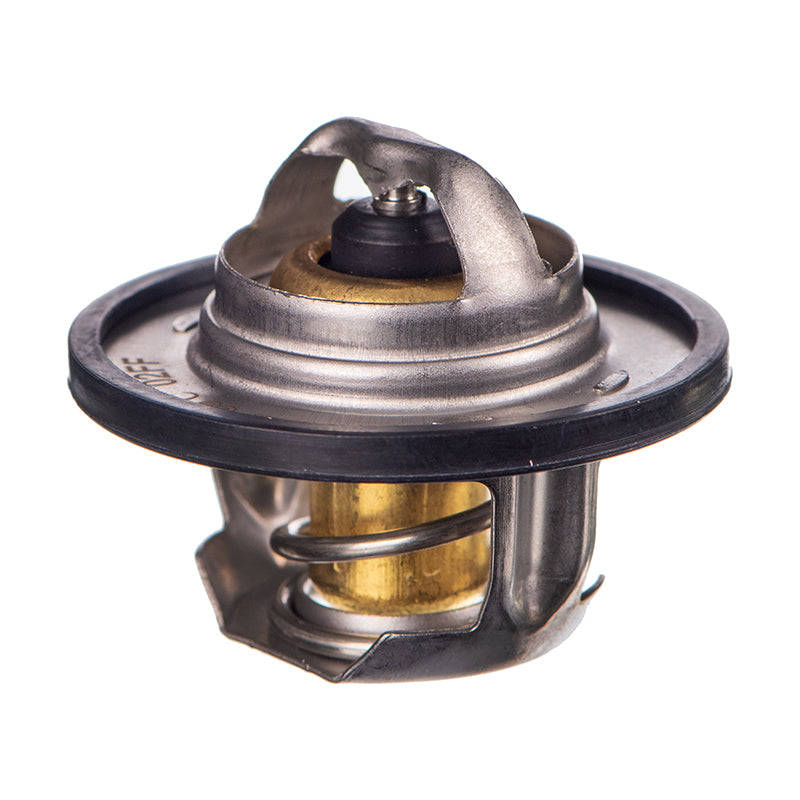 Thermostat - Ts5089 (Doe)