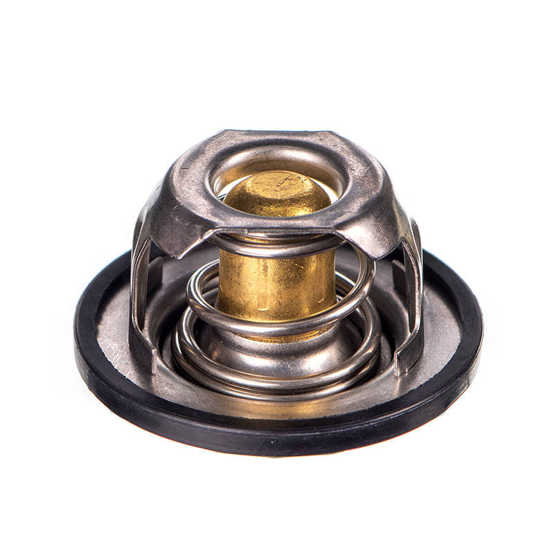 Thermostat - Ts5089 (Doe)